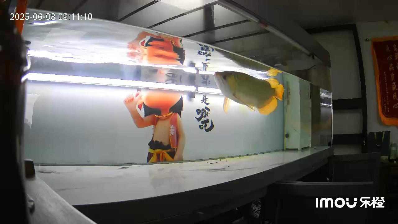 半水位飼養下