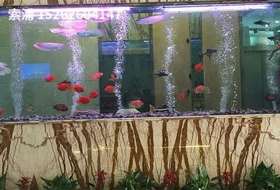 索浦魚缸品牌商標是什么：索浦魚缸產品線詳細介紹