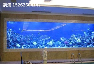 索浦魚缸品牌商標是什么：索浦魚缸產品線詳細介紹