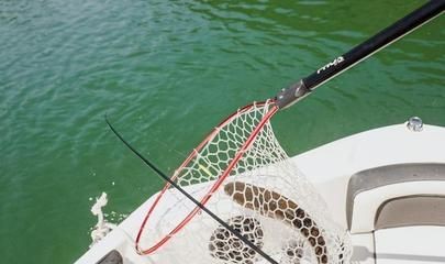 世界頂級(jí)魚缸：世界頂級(jí)的魚缸設(shè)計(jì)