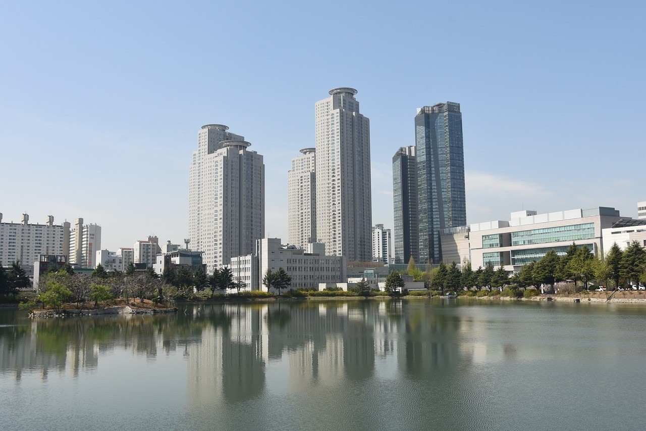 河源市源城區辰鑫水簇館，一次愉快的體驗