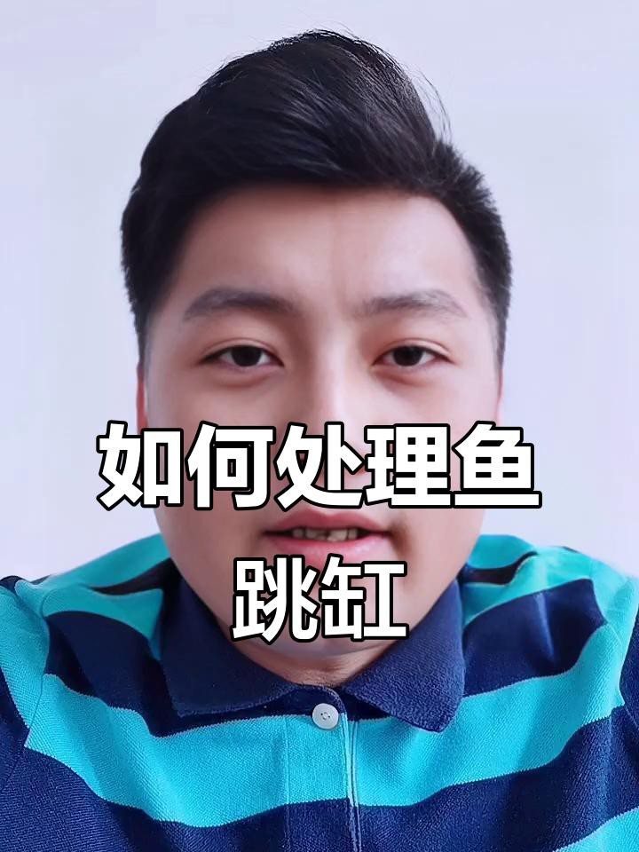金龍魚跳缸后如何護理？