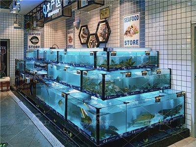 普通金龍魚價(jià)格多少錢一條，普通金龍魚多少錢一條，普通金龍魚價(jià)格多少錢一只