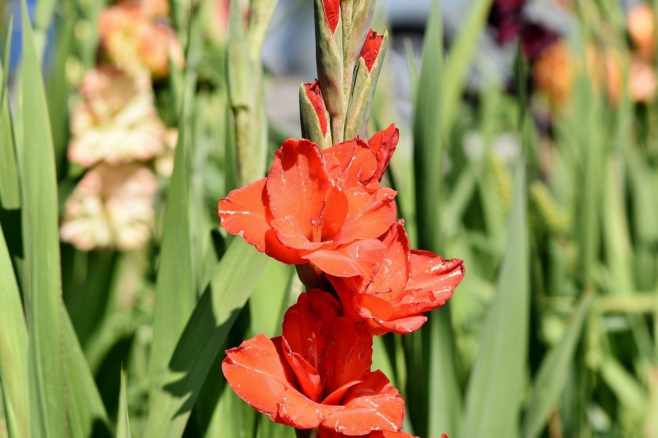 滕州市花時間工藝制品有限公司（花時間家具有限公司）