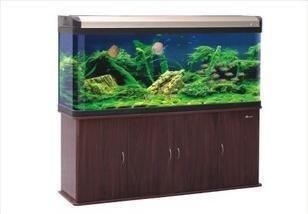 森森魚缸使用教程（森森魚缸使用教程，） 森森魚缸使用教程（森森魚缸使用教程，） 魚缸百科 第1張