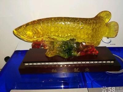 二手金龍魚買賣交易網：二手金龍魚買賣交易網是一些相關的網站：二手金龍魚買賣交易網 二手金龍魚買賣交易網：二手金龍魚買賣交易網是一些相關的網站：二手金龍魚買賣交易網 龍魚百科 第3張