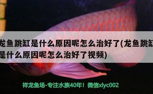 安溪縣鳳城泉福魚具店 安溪縣鳳城泉福魚具店 全國水族館企業(yè)名錄 第2張