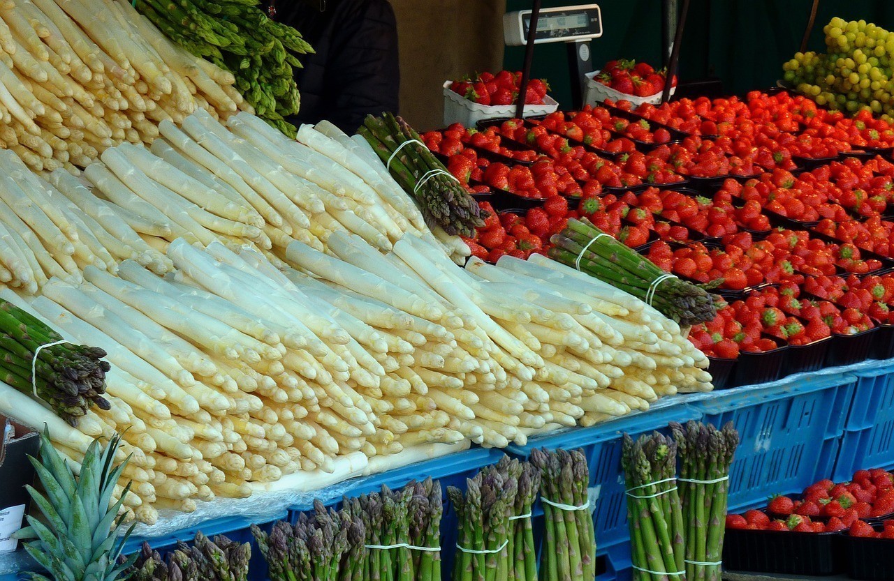 建三江七彩觀賞魚（建三江七彩觀賞魚養殖基地）