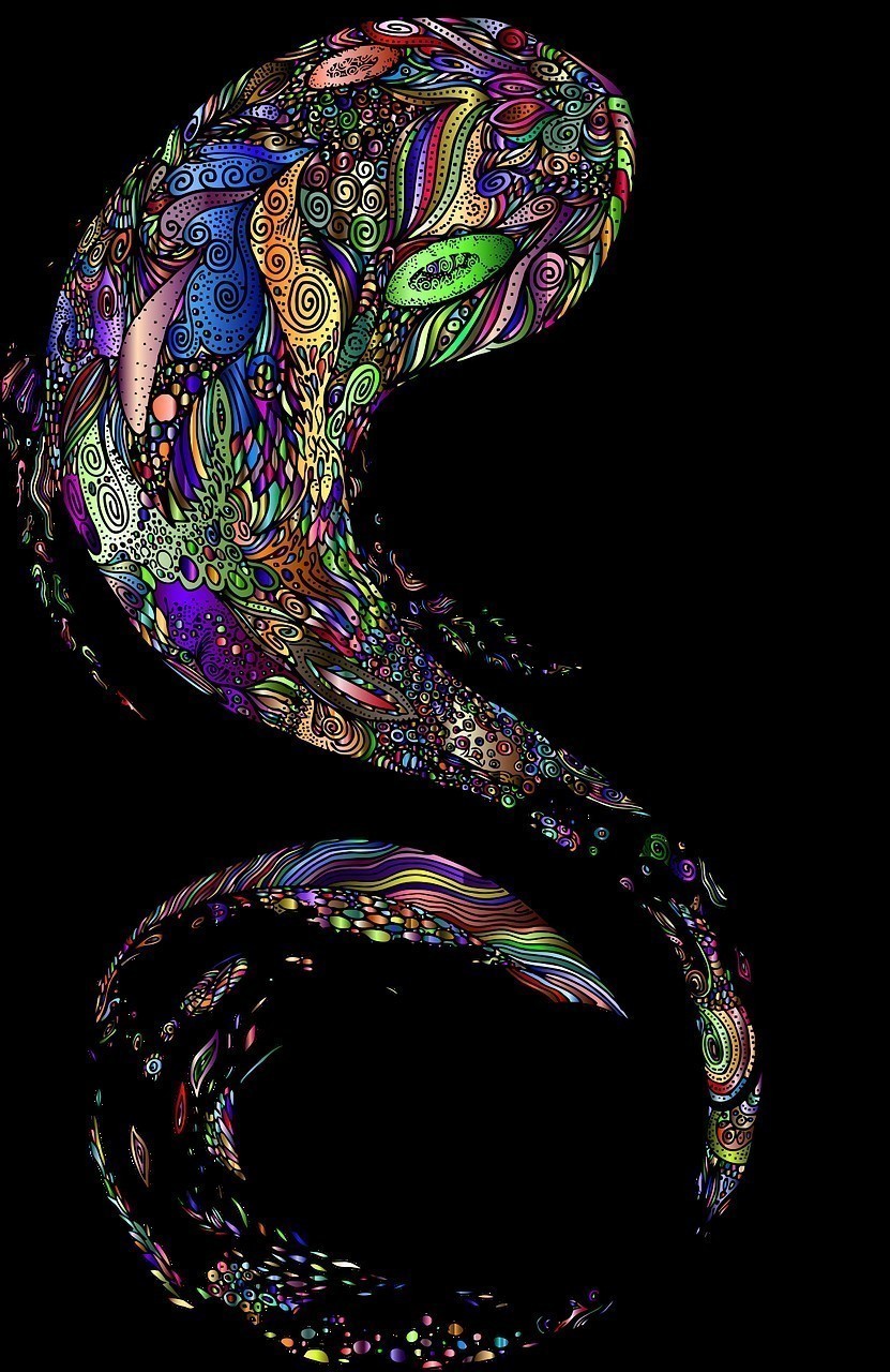 彩虹雷龍魚視頻