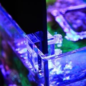 魚缸防跳板:關于魚缸防跳板的一些詳細信息 魚缸百科 第3張 魚缸防跳板:關于魚缸防跳板的一些詳細信息 魚缸防跳板:關于魚缸防跳板的一些詳細信息 魚缸百科 第3張