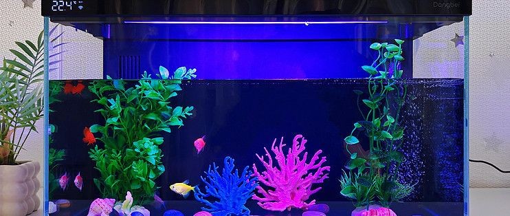 畫法幾何魚缸恢復(fù)出廠設(shè)置：畫法幾何魚缸恢復(fù)出廠設(shè)置操作