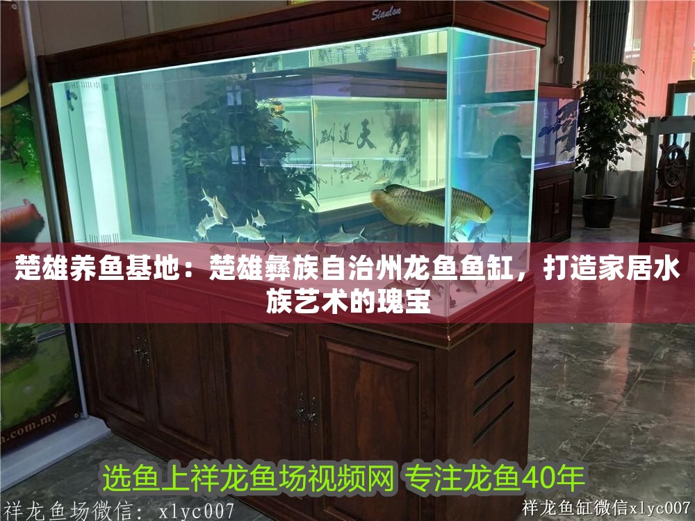 紅龍魚養殖溫度是多少度（紅龍魚養殖溫度是多少度合適）