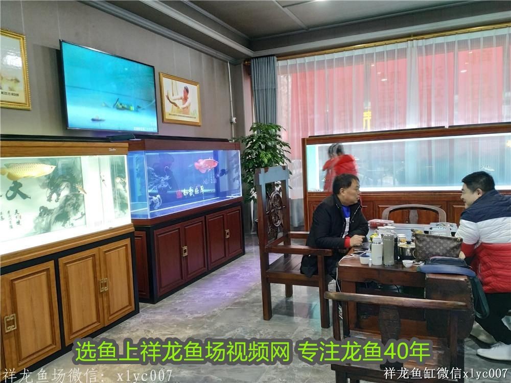 武漢龍魚魚缸：武漢龍魚魚缸，打造水族藝術(shù)的精致空間