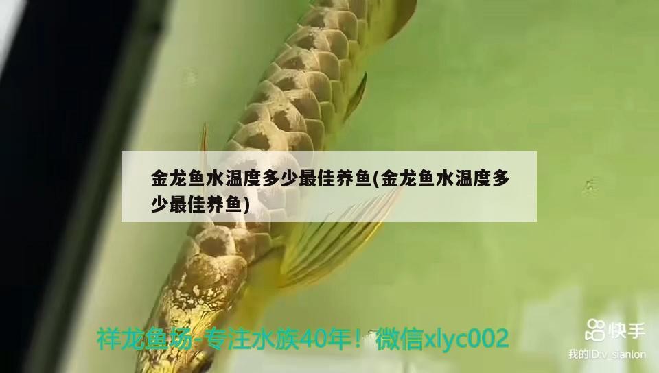 大慶高新區子豪花店