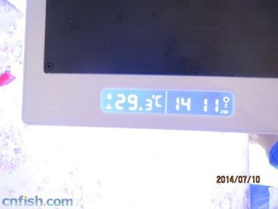 森森魚缸溫度顯示0°c:森森魚缸溫度顯示0°c的原因及解釋 魚缸百科 第2張 森森魚缸溫度顯示0°c:森森魚缸溫度顯示0°c的原因及解釋 森森魚缸溫度顯示0°c:森森魚缸溫度顯示0°c的原因及解釋 魚缸百科 第2張