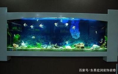 魚缸形狀的風水意義：風水魚缸形狀及其在風水上的風水意義及風水意義