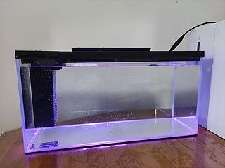 小佩魚缸pro：小佩魚缸pro與其他品牌對比小佩魚缸pro維護周期指南