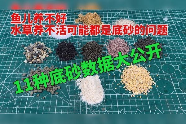 魚缸底砂化學(xué)穩(wěn)定性檢測：魚缸底砂化學(xué)穩(wěn)定性檢測方法，魚缸底砂自我檢測方法 魚缸底砂化學(xué)穩(wěn)定性檢測：魚缸底砂化學(xué)穩(wěn)定性檢測方法，魚缸底砂自我檢測方法 魚缸百科 第1張