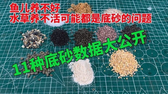 魚缸底砂化學(xué)穩(wěn)定性檢測：魚缸底砂化學(xué)穩(wěn)定性檢測方法，魚缸底砂自我檢測方法 魚缸底砂化學(xué)穩(wěn)定性檢測：魚缸底砂化學(xué)穩(wěn)定性檢測方法，魚缸底砂自我檢測方法 魚缸百科 第2張