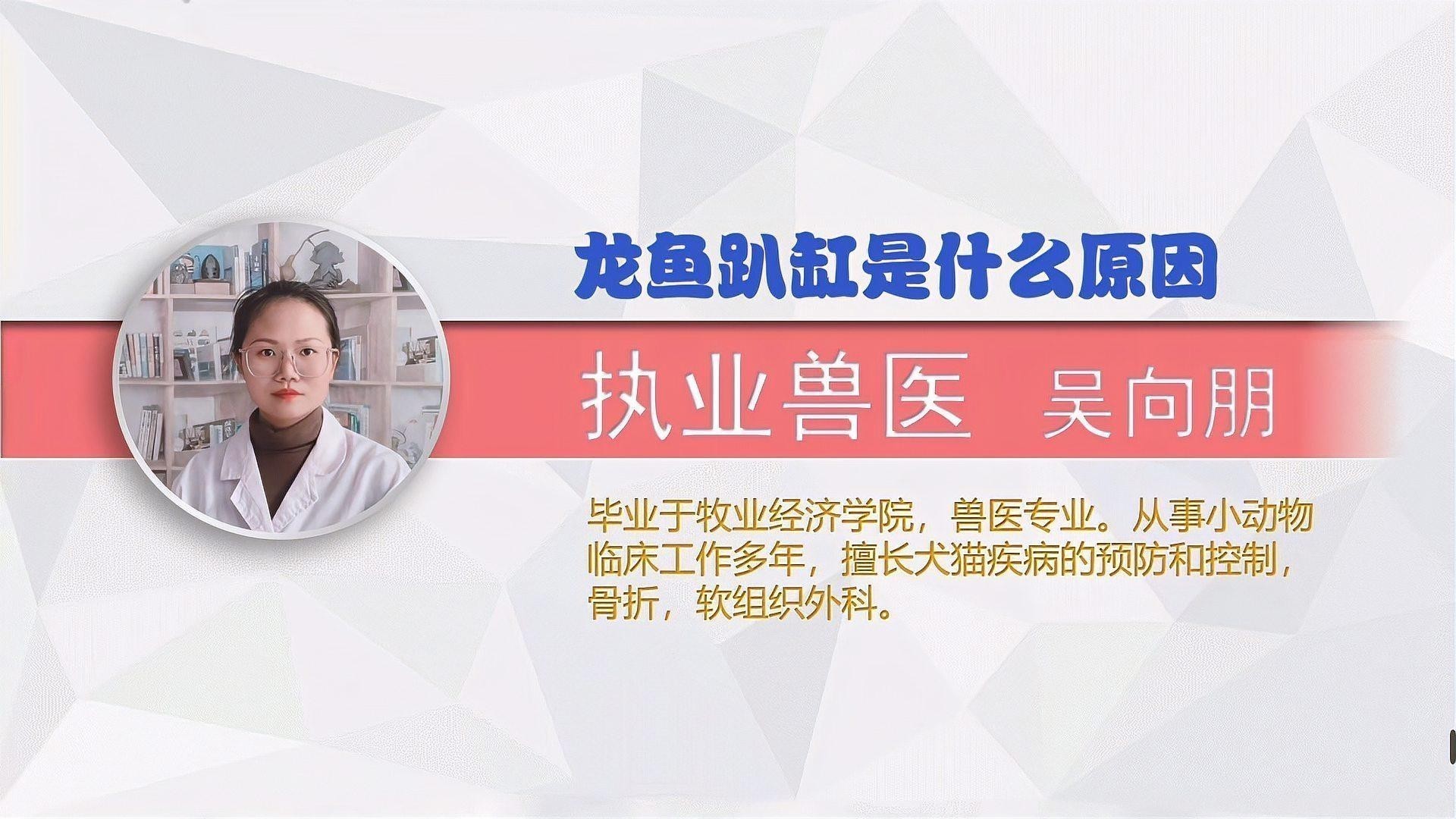 龍魚換水趴缸怎么辦啊？