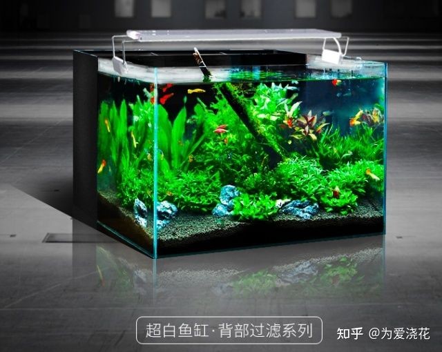 過濾最好的魚缸制作(魚缸過濾系統制作) 魚缸百科 第3張 過濾最好的魚缸制作(魚缸過濾系統制作) 過濾最好的魚缸制作(魚缸過濾系統制作) 魚缸百科 第3張