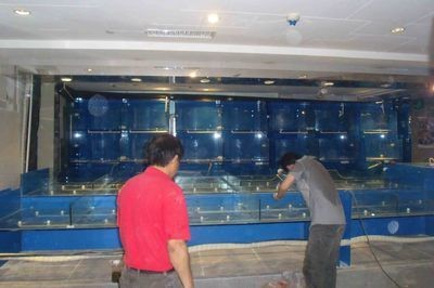 海寧海鮮魚(yú)缸選購(gòu)：海寧市海寧市硤石植藝魚(yú)缸店成立于2019年08月08日