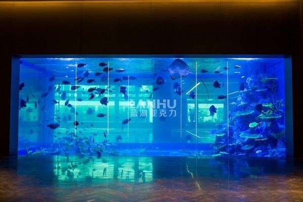 魚缸布置景，魚缸造景新手入門指南 魚缸布置景，魚缸造景新手入門指南 魚缸百科 第5張