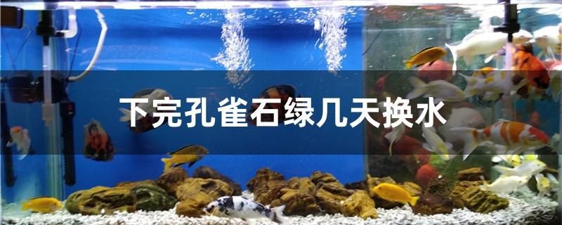 下完孔雀石綠幾天換水
