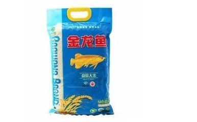 金龍魚排便：金龍魚排便情況可以反映出其健康狀況和飼養(yǎng)環(huán)境的好壞
