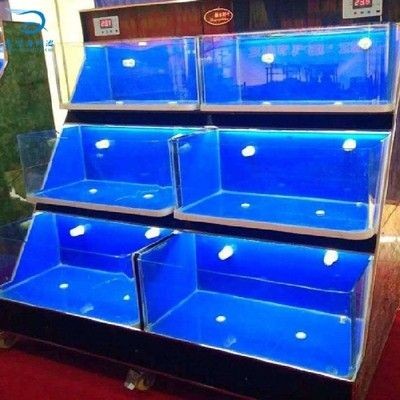 給魚缸換水需要注意的事項：給魚缸換水的注意事項 給魚缸換水需要注意的事項：給魚缸換水的注意事項 魚缸百科 第3張
