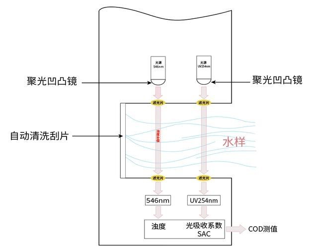 如何預防六角龍魚白斑病復發？