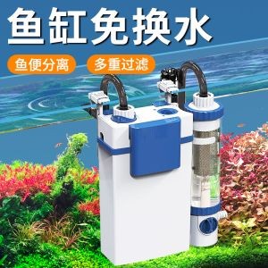 魚缸過濾器拼裝：魚缸過濾器安裝方法 魚缸過濾器拼裝：魚缸過濾器安裝方法 魚缸百科 第1張
