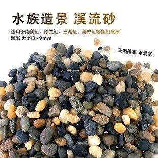七彩雷龍魚缸怎么造景，七彩雷龍魚缸水草種植技巧