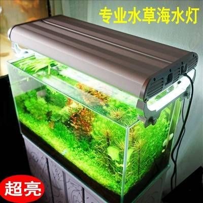 魚缸燈管如何更換？：如何更換魚缸燈管