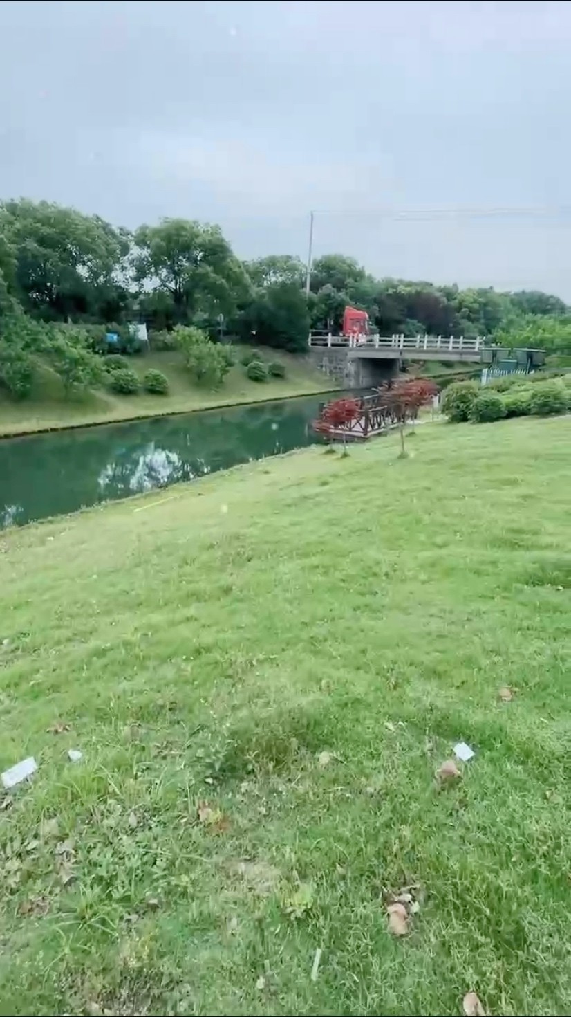 周末抓魚