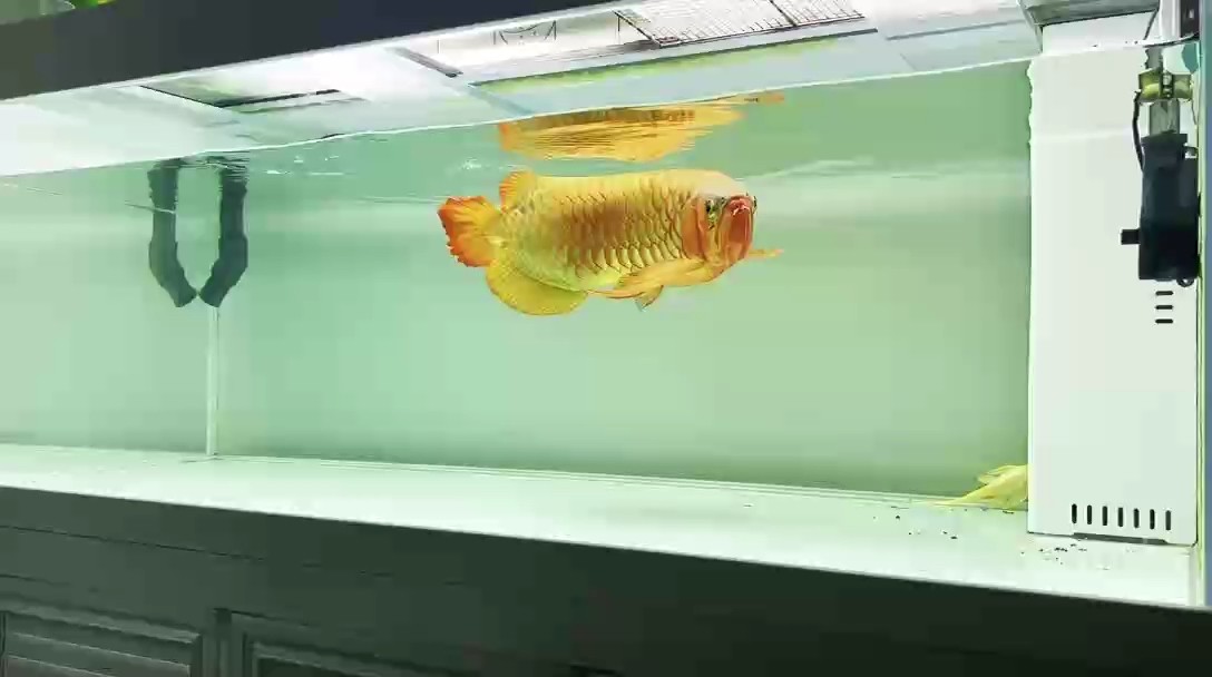 放松時刻 放松時刻 龍魚論壇