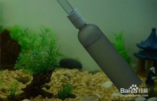 上海索浦水族科技有限公司（上海索浦水族科技有限公司怎么樣）