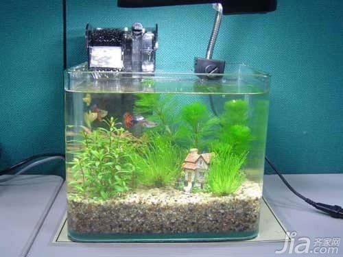杭州市拱墅區毛毛語水族館（杭州市拱墅區毛毛語水族館地址） 杭州市拱墅區毛毛語水族館（杭州市拱墅區毛毛語水族館地址） 全國水族館企業名錄