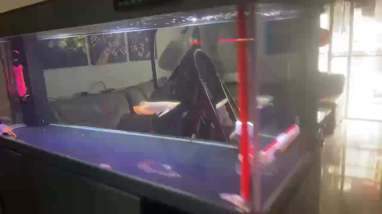 入缸大吉！