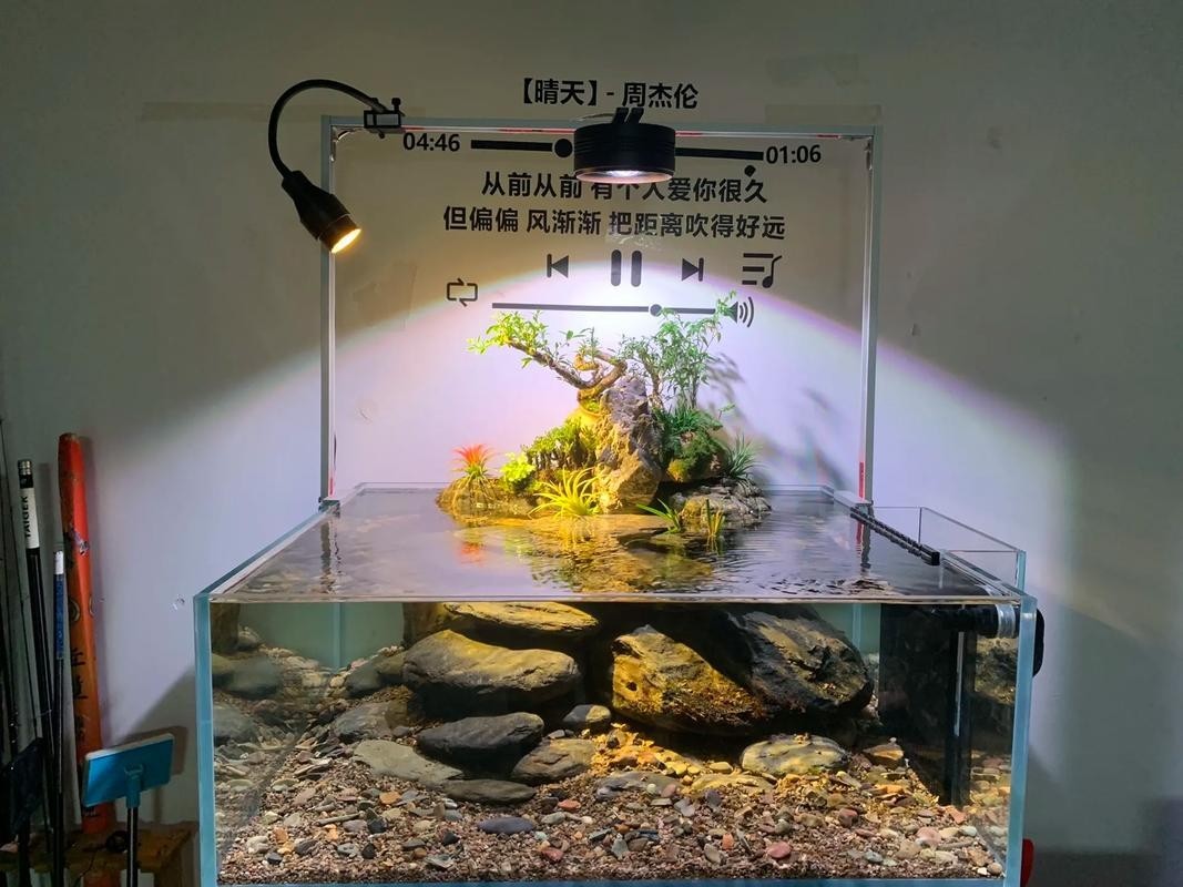 龍魚缸用燈架好不好