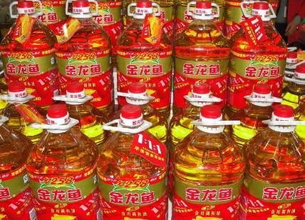 金龍魚是雜牌還是名牌 金龍魚是雜牌還是名牌 龍魚百科 第2張