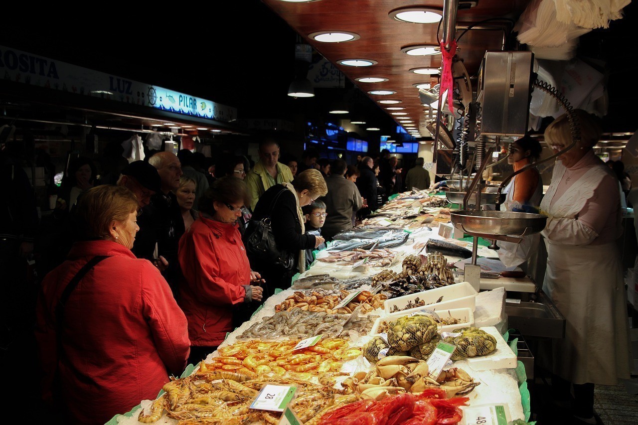 海口龍華魚友之家水族店（海口龍華魚友之家水族店電話）