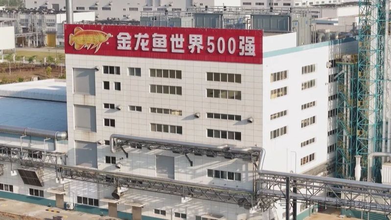 金龍魚金廚(廣東)調味食品有限公司總經理