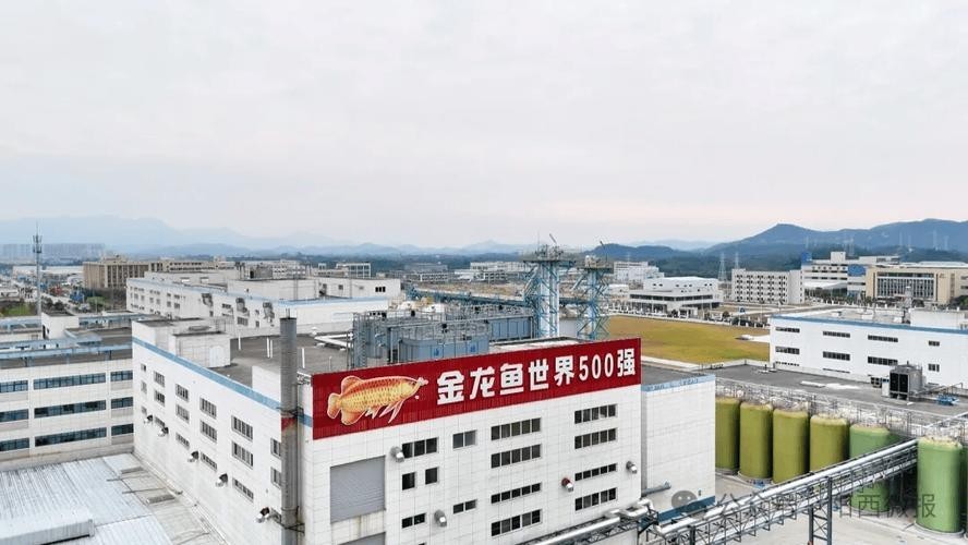 金龍魚金廚(廣東)調味食品有限公司總經理