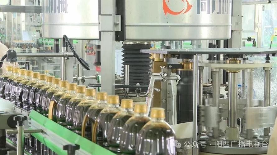 金龍魚金廚(廣東)調味食品有限公司總經理