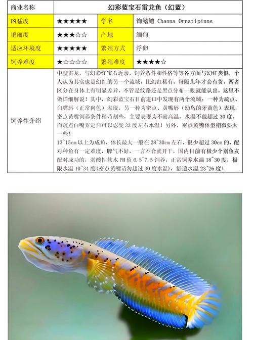 雷龍魚的照片