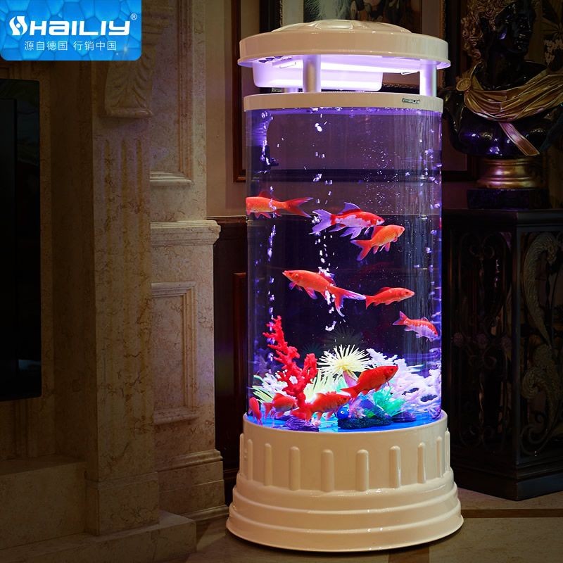 海麗雅魚缸圖片：海麗雅魚缸價(jià)格對比八角魚缸搭配什么魚缸維護(hù)技巧 海麗雅魚缸圖片：海麗雅魚缸價(jià)格對比八角魚缸搭配什么魚缸維護(hù)技巧 魚缸百科 第5張