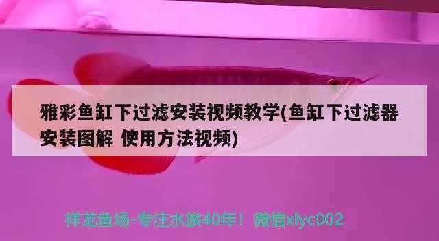 雅彩魚缸下過濾安裝視頻教學(xué)(魚缸下過濾器安裝圖解使用方法視頻)