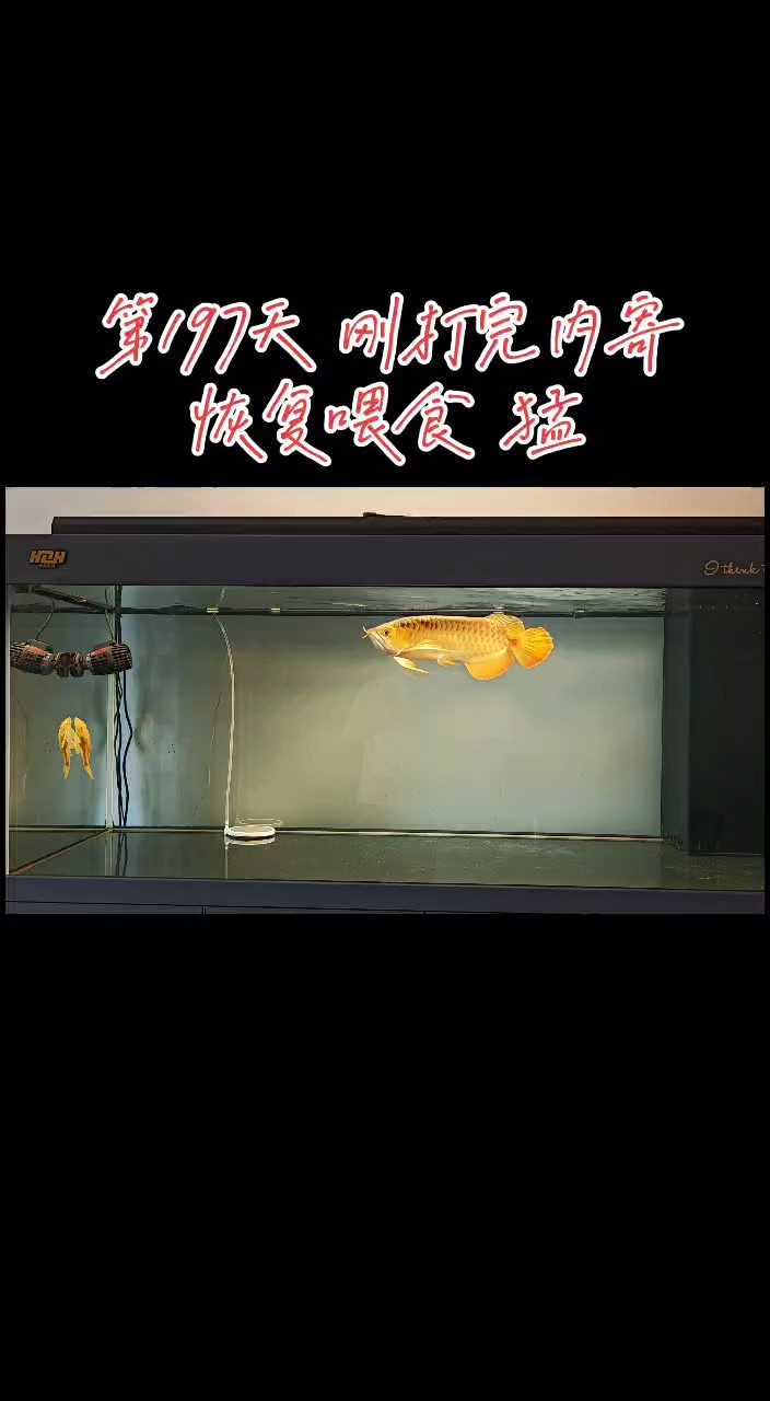 月更一下
