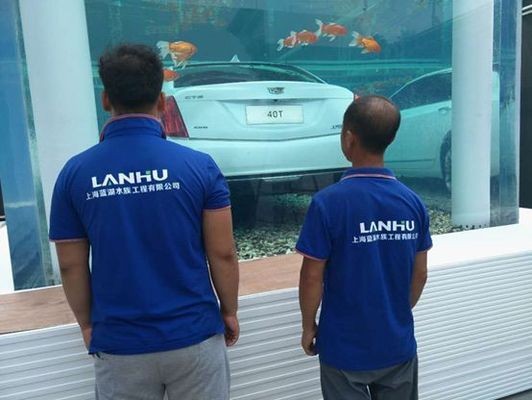 買魚缸選哪個品牌好用（如何選擇合適的魚缸品牌）